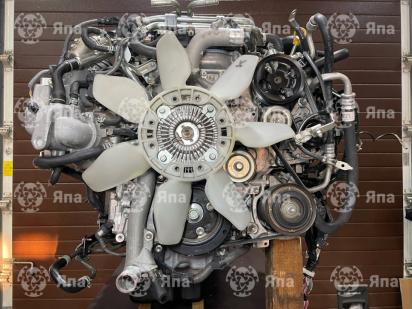 ������������� �����������