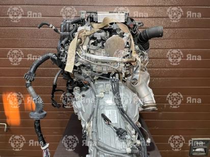 ������������� �����������