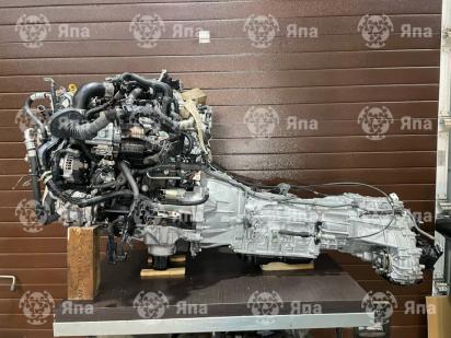 ������������� �����������