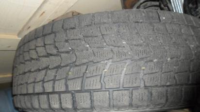 ������������� �����������