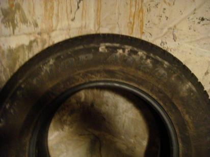 ������������� �����������