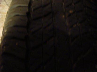 ������������� �����������