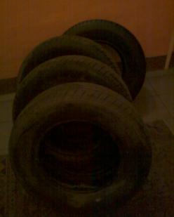 ������������� �����������